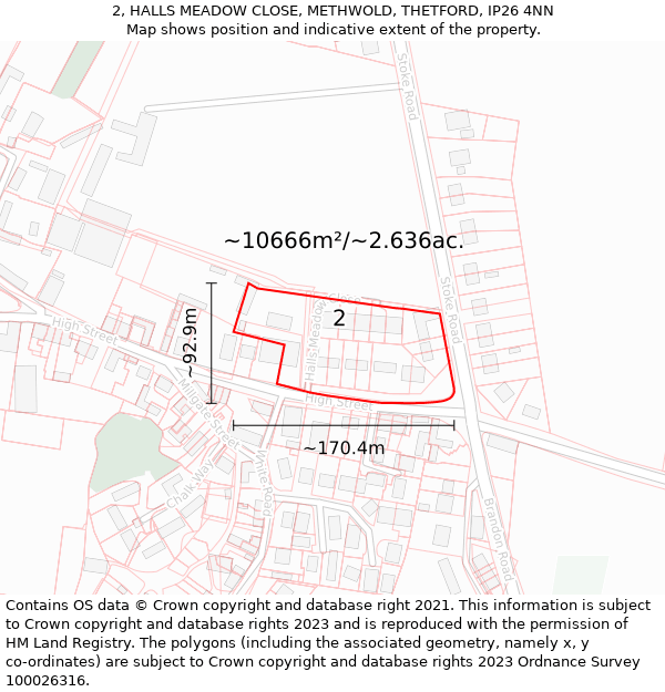 2, HALLS MEADOW CLOSE, METHWOLD, THETFORD, IP26 4NN: Plot and title map