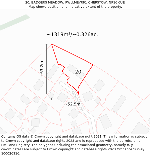 20, BADGERS MEADOW, PWLLMEYRIC, CHEPSTOW, NP16 6UE: Plot and title map