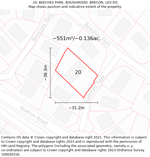 20, BEECHES PARK, BOUGHROOD, BRECON, LD3 0YJ: Plot and title map