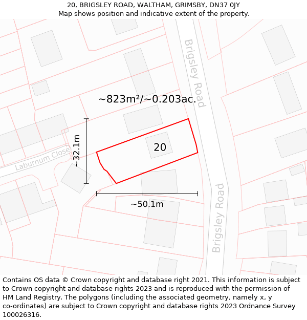 20, BRIGSLEY ROAD, WALTHAM, GRIMSBY, DN37 0JY: Plot and title map