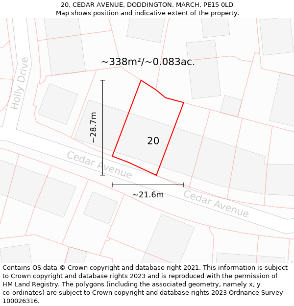 20, CEDAR AVENUE, DODDINGTON, MARCH, PE15 0LD: Plot and title map