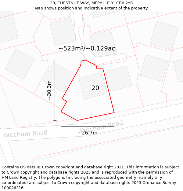 20, CHESTNUT WAY, MEPAL, ELY, CB6 2YR: Plot and title map