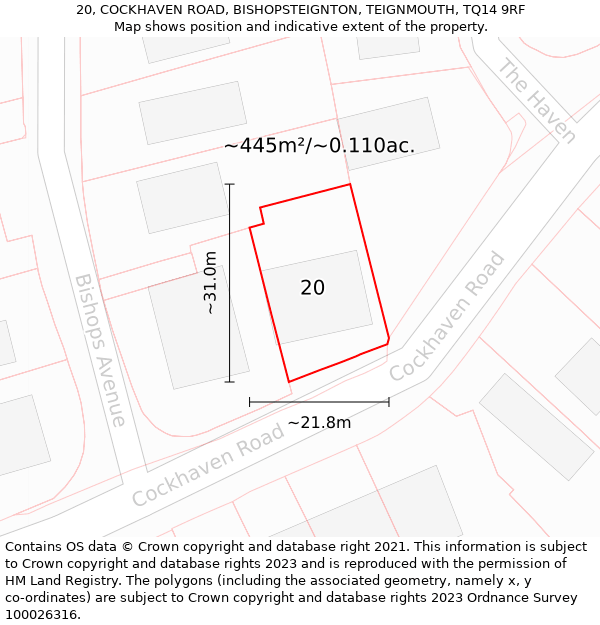 20, COCKHAVEN ROAD, BISHOPSTEIGNTON, TEIGNMOUTH, TQ14 9RF: Plot and title map