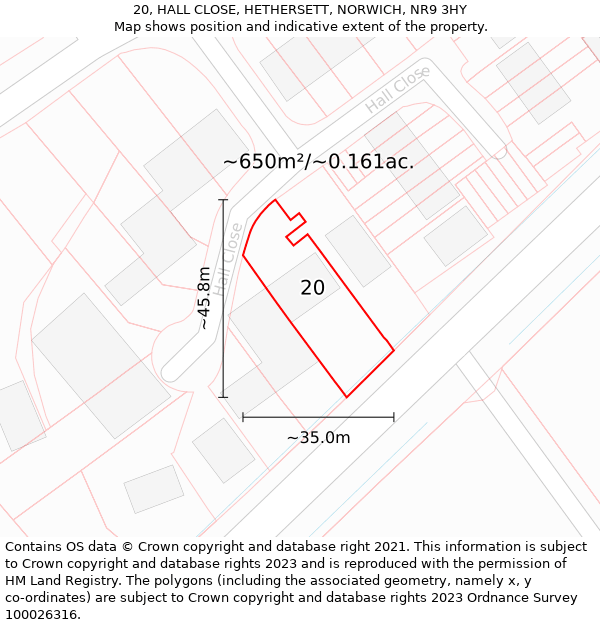 20, HALL CLOSE, HETHERSETT, NORWICH, NR9 3HY: Plot and title map