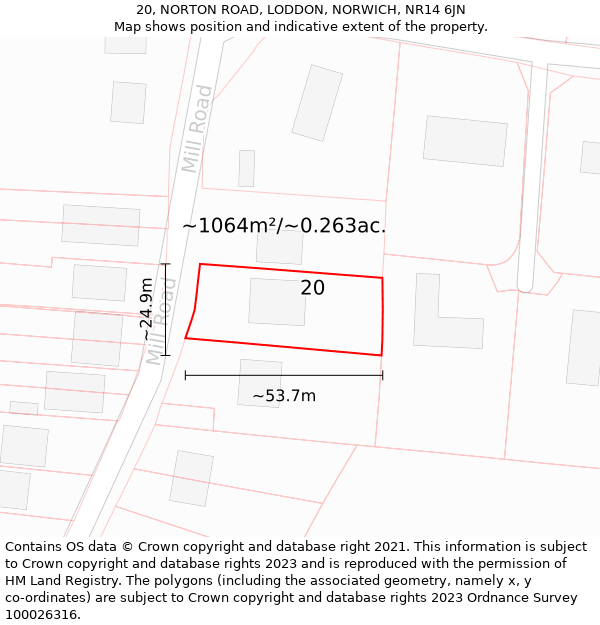 20, NORTON ROAD, LODDON, NORWICH, NR14 6JN: Plot and title map