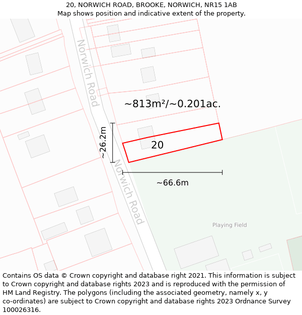 20, NORWICH ROAD, BROOKE, NORWICH, NR15 1AB: Plot and title map
