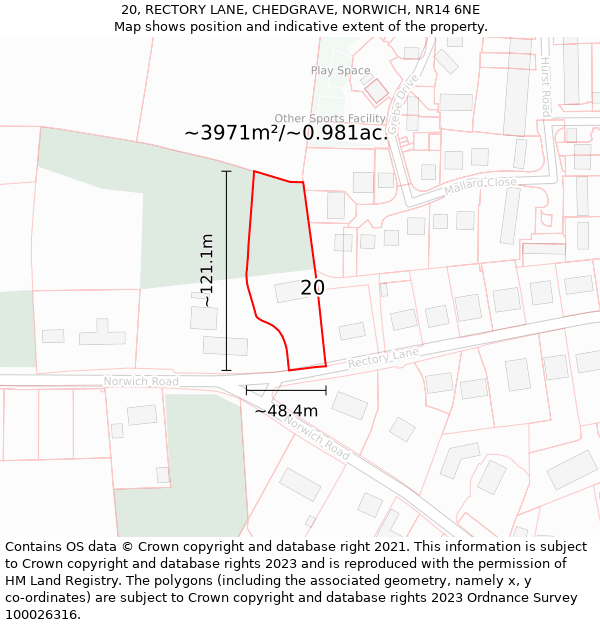 20, RECTORY LANE, CHEDGRAVE, NORWICH, NR14 6NE: Plot and title map