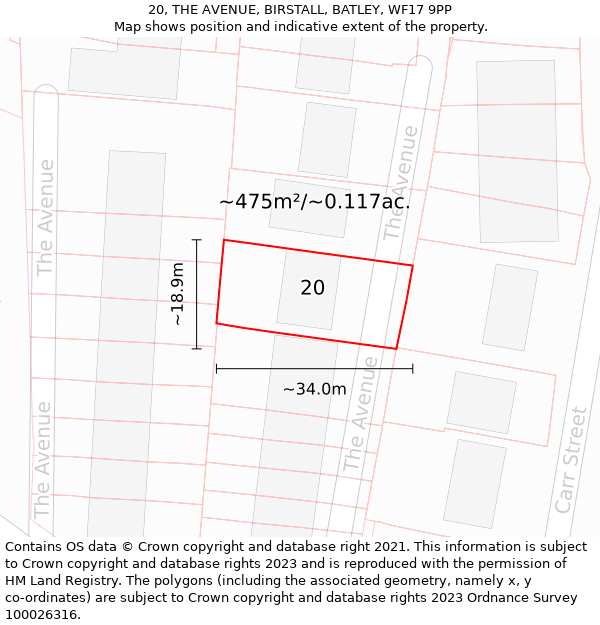 20, THE AVENUE, BIRSTALL, BATLEY, WF17 9PP: Plot and title map