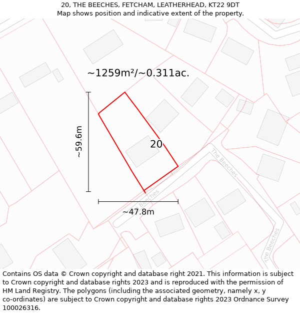 20, THE BEECHES, FETCHAM, LEATHERHEAD, KT22 9DT: Plot and title map