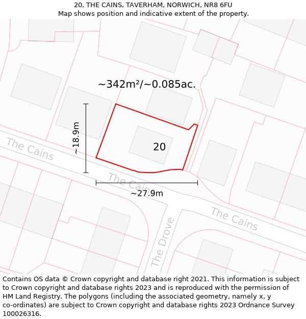 20, THE CAINS, TAVERHAM, NORWICH, NR8 6FU: Plot and title map