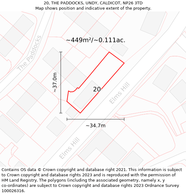 20, THE PADDOCKS, UNDY, CALDICOT, NP26 3TD: Plot and title map
