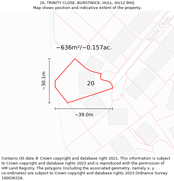 20, TRINITY CLOSE, BURSTWICK, HULL, HU12 9HQ: Plot and title map