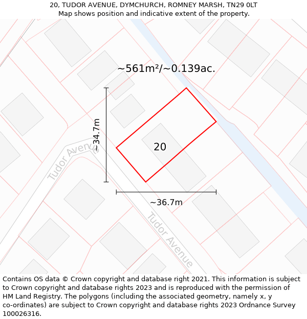 20, TUDOR AVENUE, DYMCHURCH, ROMNEY MARSH, TN29 0LT: Plot and title map