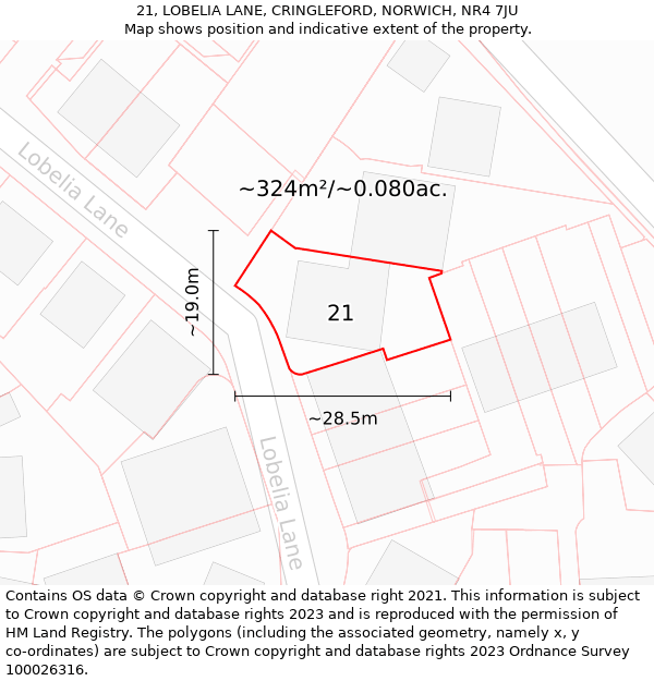 21, LOBELIA LANE, CRINGLEFORD, NORWICH, NR4 7JU: Plot and title map