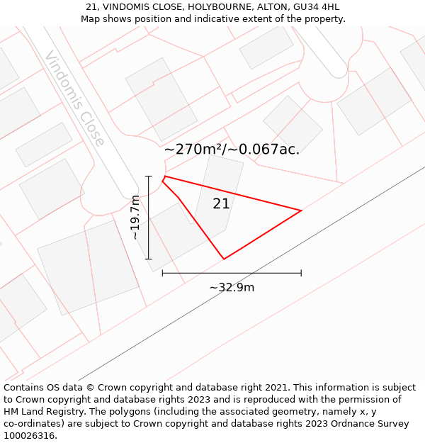 21, VINDOMIS CLOSE, HOLYBOURNE, ALTON, GU34 4HL: Plot and title map