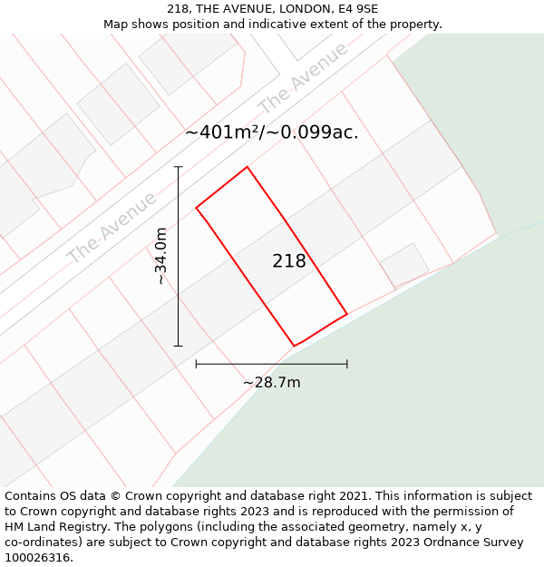 218, THE AVENUE, LONDON, E4 9SE: Plot and title map