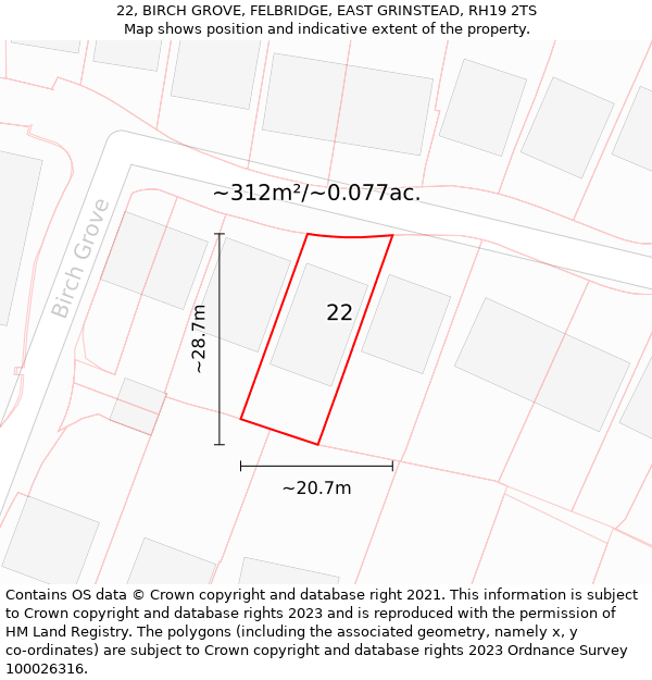 22, BIRCH GROVE, FELBRIDGE, EAST GRINSTEAD, RH19 2TS: Plot and title map