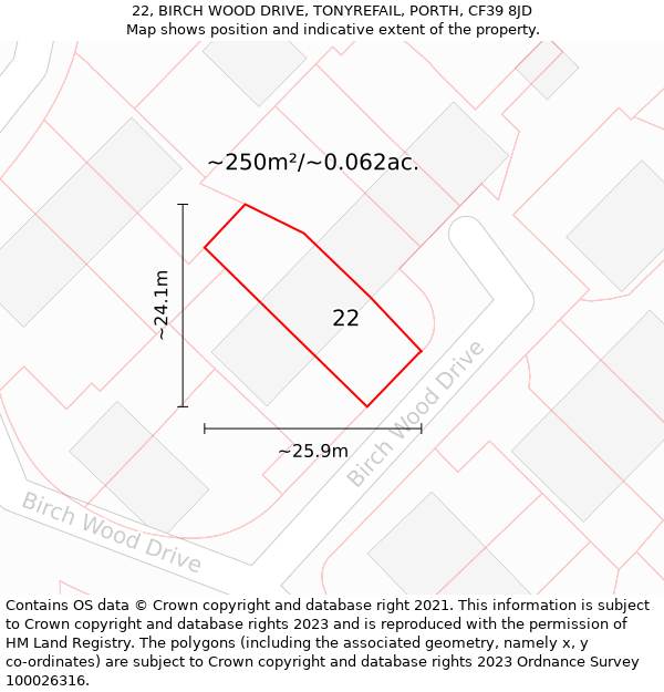 22, BIRCH WOOD DRIVE, TONYREFAIL, PORTH, CF39 8JD: Plot and title map