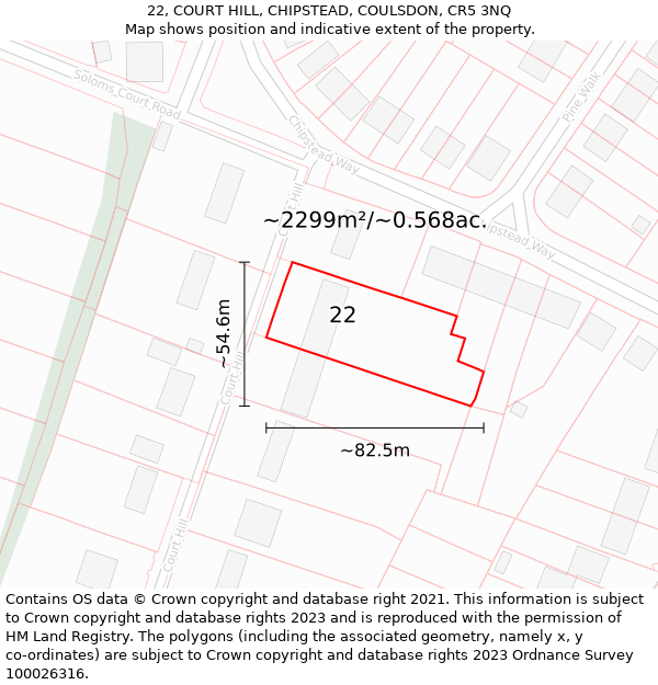 22, COURT HILL, CHIPSTEAD, COULSDON, CR5 3NQ: Plot and title map
