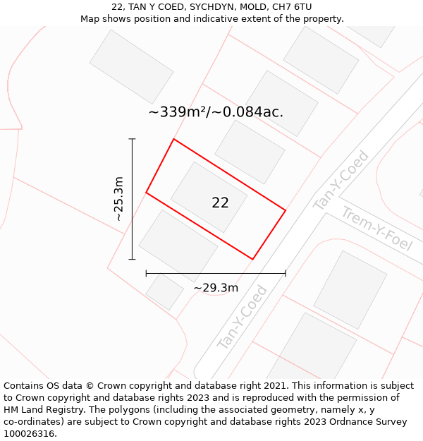 22, TAN Y COED, SYCHDYN, MOLD, CH7 6TU: Plot and title map