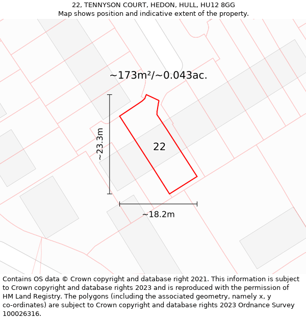 22, TENNYSON COURT, HEDON, HULL, HU12 8GG: Plot and title map