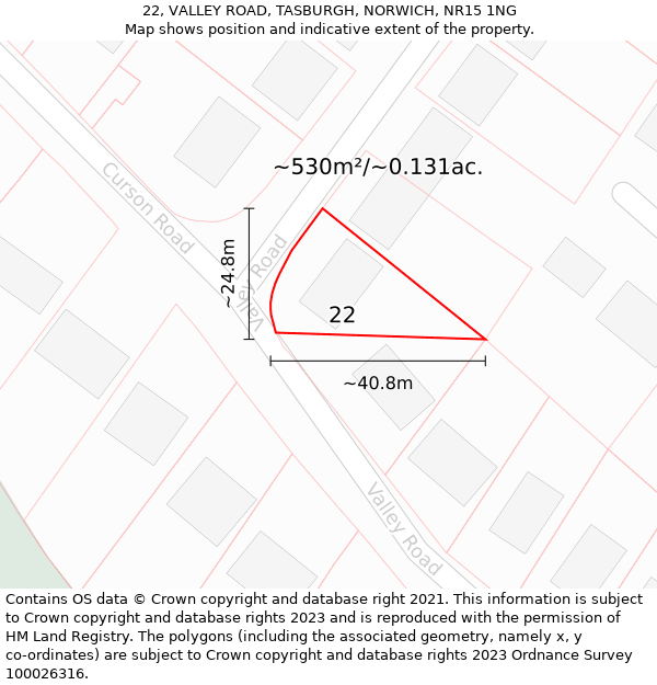 22, VALLEY ROAD, TASBURGH, NORWICH, NR15 1NG: Plot and title map