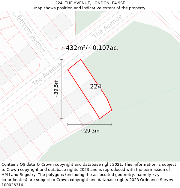 224, THE AVENUE, LONDON, E4 9SE: Plot and title map