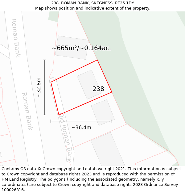 238, ROMAN BANK, SKEGNESS, PE25 1DY: Plot and title map
