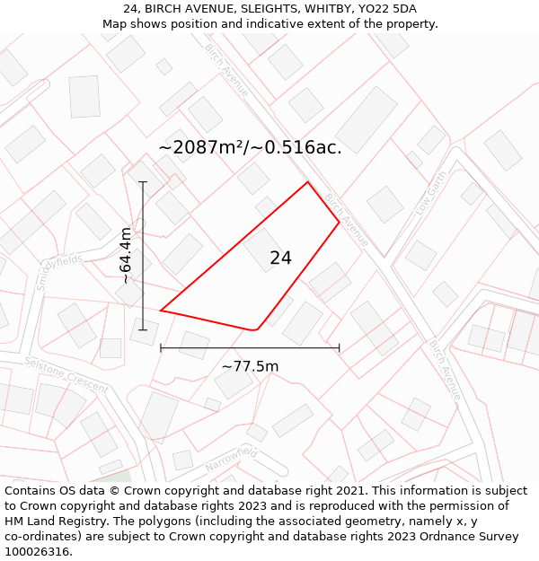 24, BIRCH AVENUE, SLEIGHTS, WHITBY, YO22 5DA: Plot and title map