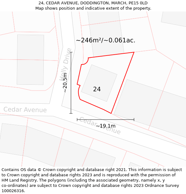 24, CEDAR AVENUE, DODDINGTON, MARCH, PE15 0LD: Plot and title map