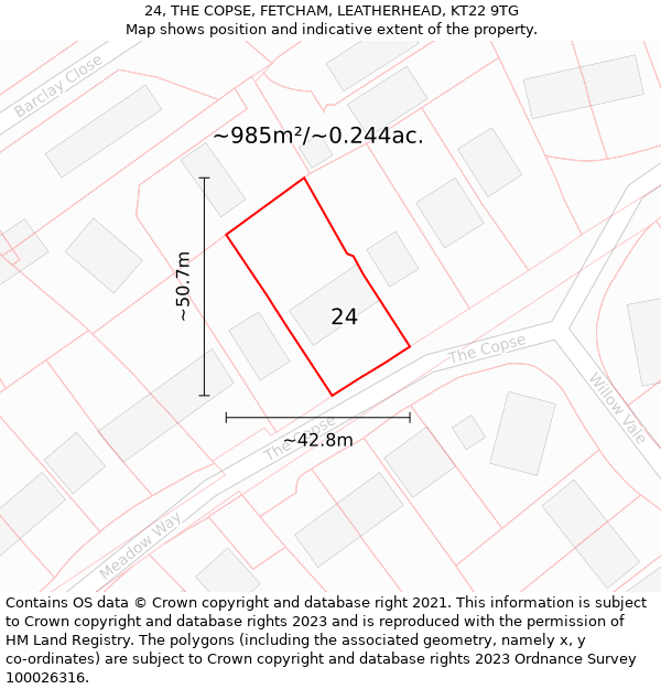 24, THE COPSE, FETCHAM, LEATHERHEAD, KT22 9TG: Plot and title map