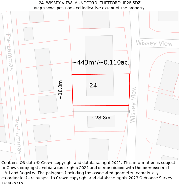 24, WISSEY VIEW, MUNDFORD, THETFORD, IP26 5DZ: Plot and title map