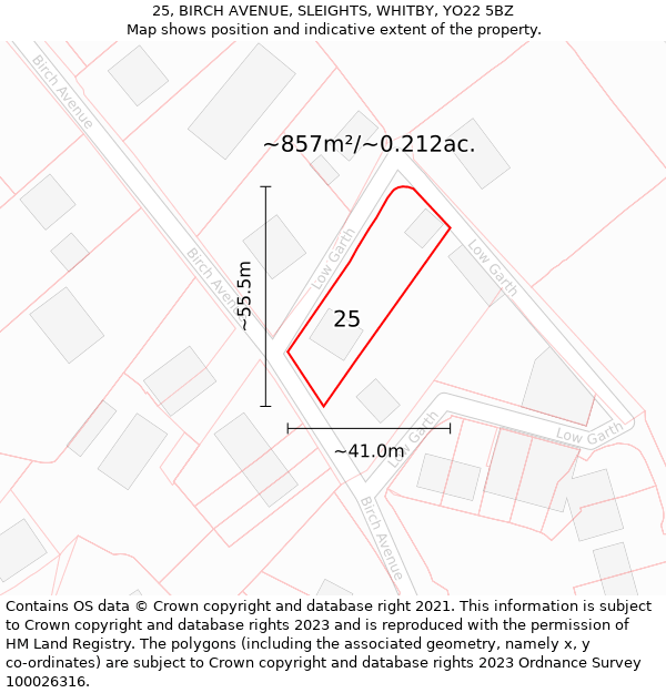 25, BIRCH AVENUE, SLEIGHTS, WHITBY, YO22 5BZ: Plot and title map