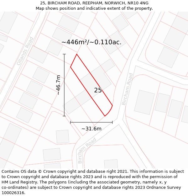25, BIRCHAM ROAD, REEPHAM, NORWICH, NR10 4NG: Plot and title map