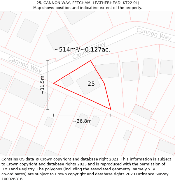 25, CANNON WAY, FETCHAM, LEATHERHEAD, KT22 9LJ: Plot and title map