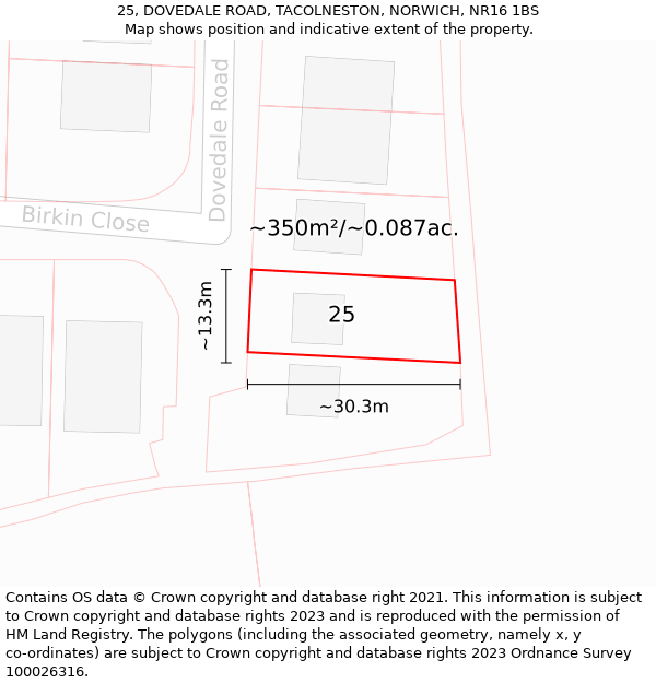 25, DOVEDALE ROAD, TACOLNESTON, NORWICH, NR16 1BS: Plot and title map