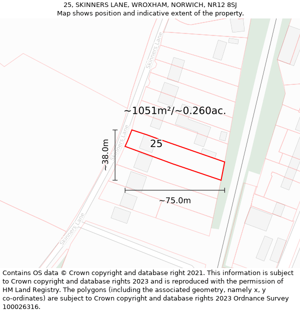 25, SKINNERS LANE, WROXHAM, NORWICH, NR12 8SJ: Plot and title map