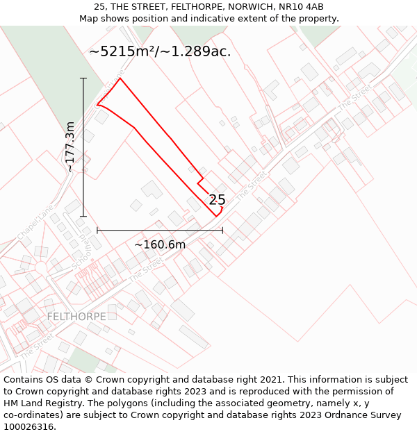 25, THE STREET, FELTHORPE, NORWICH, NR10 4AB: Plot and title map