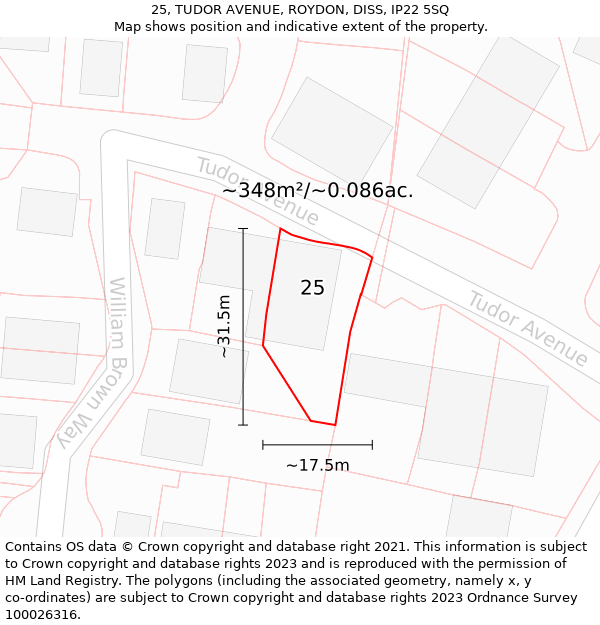 25, TUDOR AVENUE, ROYDON, DISS, IP22 5SQ: Plot and title map