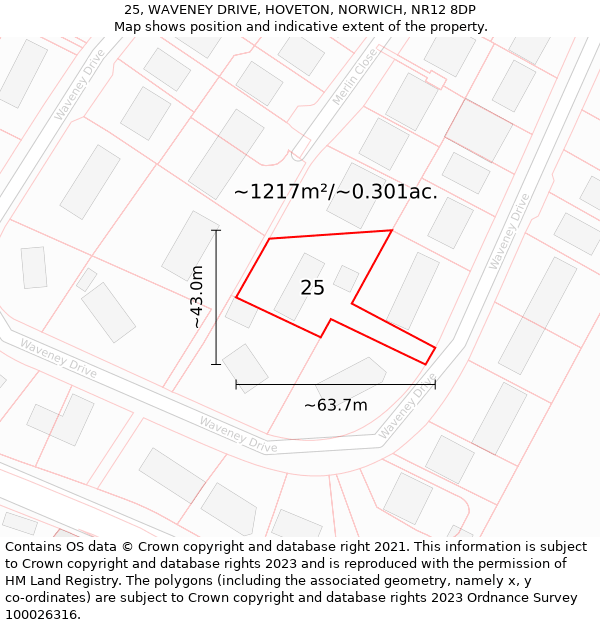 25, WAVENEY DRIVE, HOVETON, NORWICH, NR12 8DP: Plot and title map