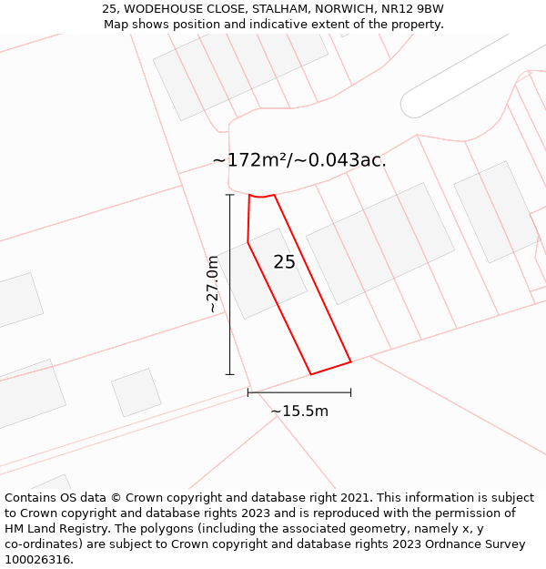 25, WODEHOUSE CLOSE, STALHAM, NORWICH, NR12 9BW: Plot and title map