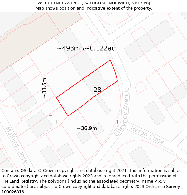 28, CHEYNEY AVENUE, SALHOUSE, NORWICH, NR13 6RJ: Plot and title map