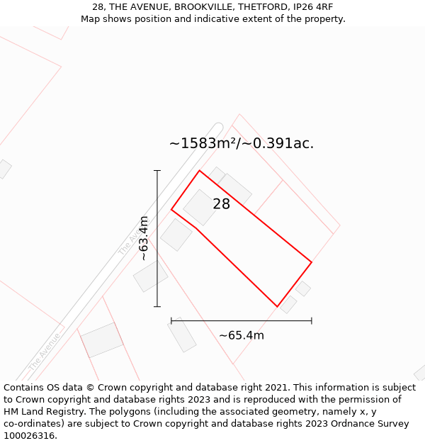 28, THE AVENUE, BROOKVILLE, THETFORD, IP26 4RF: Plot and title map