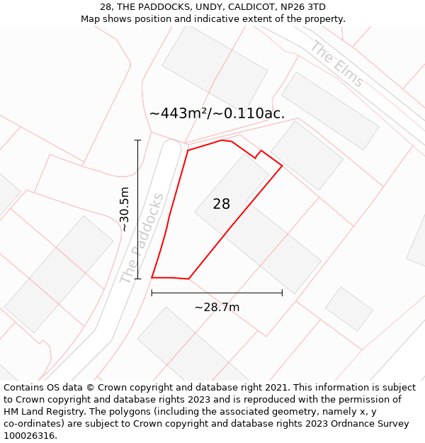 28, THE PADDOCKS, UNDY, CALDICOT, NP26 3TD: Plot and title map