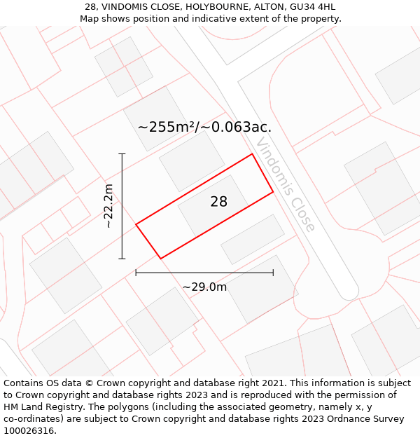28, VINDOMIS CLOSE, HOLYBOURNE, ALTON, GU34 4HL: Plot and title map