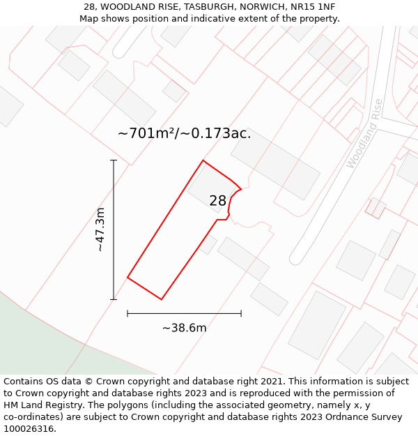 28, WOODLAND RISE, TASBURGH, NORWICH, NR15 1NF: Plot and title map