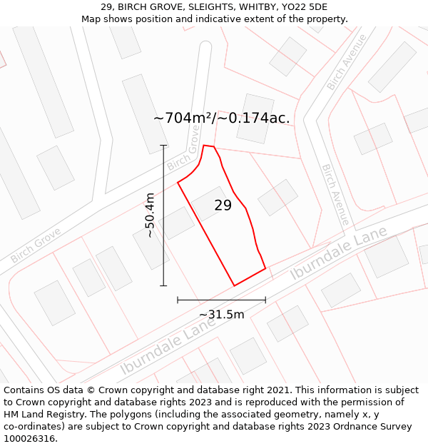 29, BIRCH GROVE, SLEIGHTS, WHITBY, YO22 5DE: Plot and title map