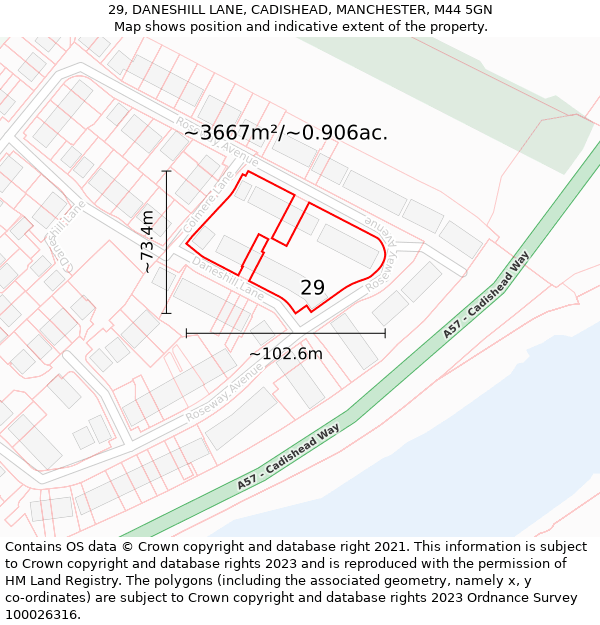 29, DANESHILL LANE, CADISHEAD, MANCHESTER, M44 5GN: Plot and title map
