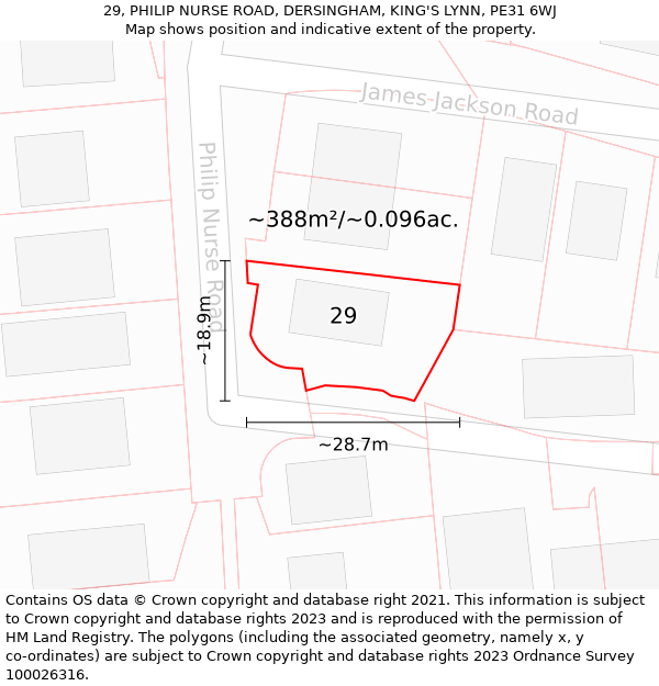 29, PHILIP NURSE ROAD, DERSINGHAM, KING'S LYNN, PE31 6WJ: Plot and title map