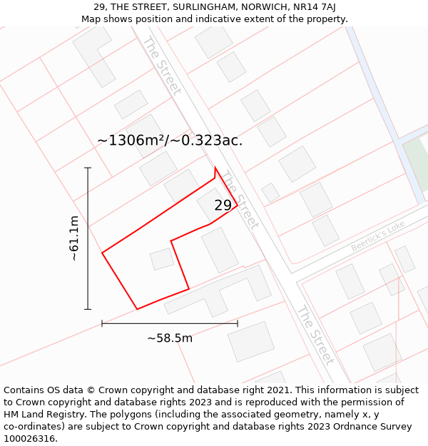 29, THE STREET, SURLINGHAM, NORWICH, NR14 7AJ: Plot and title map